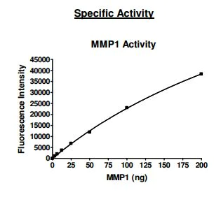 Functional Studies - Recombinant human MMP1 protein (Active) (AB198437)