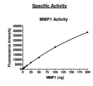 Functional Studies - Recombinant human MMP1 protein (Active) (His tag C-Terminus) (AB198437)