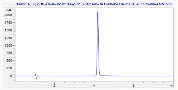 HPLC - Recombinant human MMP2 protein (Active) (AB280347)