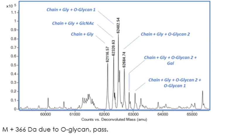 Mass Spectrometry - Recombinant human MMP2 protein (Active) (AB280347)