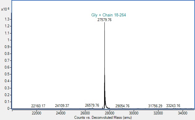 Mass Spectrometry - Recombinant Human MMP7 Protein (AB313355)