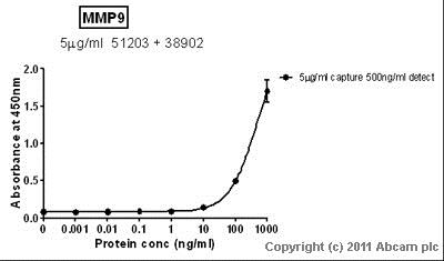 Sandwich ELISA - Recombinant Human MMP9 protein (Proenzyme) (AB82955), expandable thumbnail