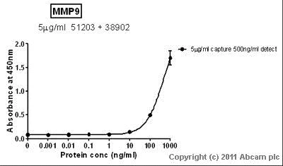 Sandwich ELISA - Recombinant Human MMP9 protein (Proenzyme) (AB82955)