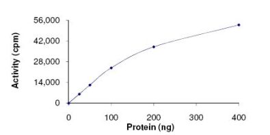 Functional Studies - Recombinant human MNK1 protein (AB125635)