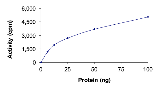 Recombinant human MNK1 protein