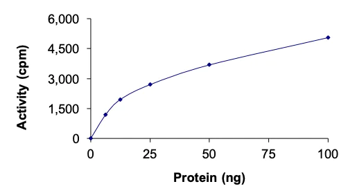 Functional Studies - Recombinant human MNK1 protein (AB125635)