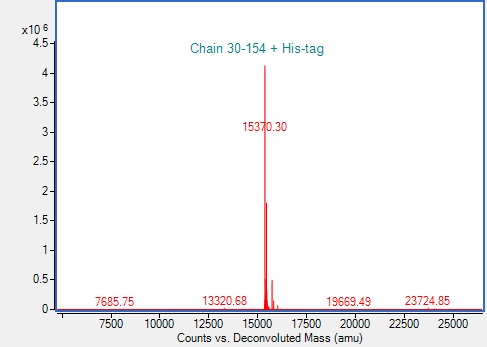 Mass Spectrometry - Recombinant Human MOG Protein (His-tag) (AB317871), expandable thumbnail