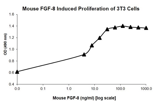 Functional Studies - Recombinant human/mouse FGF8 protein (Active) (AB218083), expandable thumbnail