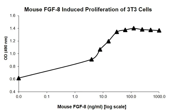 Functional Studies - Recombinant human/mouse FGF8 protein (Active) (AB218083)