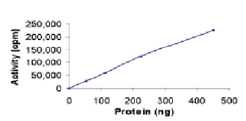 Functional Studies - Recombinant human MST4 protein (AB60341), expandable thumbnail