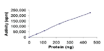 Functional Studies - Recombinant human MST4 protein (AB60341)