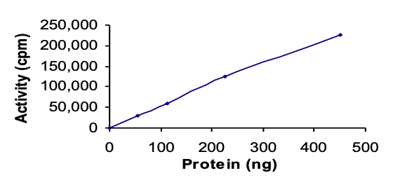 Functional Studies - Recombinant human MST4 protein (AB60341), expandable thumbnail