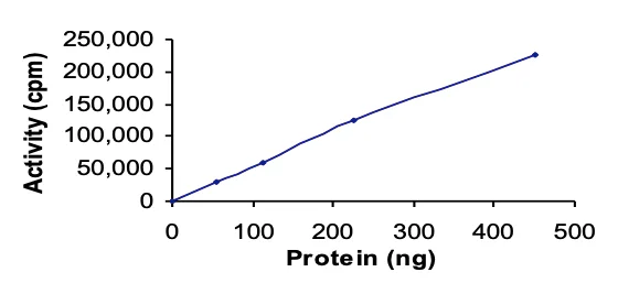 Functional Studies - Recombinant human MST4 protein (GST tag N-Terminus) (AB60341)