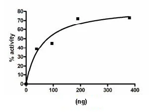 Functional Studies - Recombinant human mTOR + MLST8 + Raptor protein (DDDDK tag N-Terminus, His tag N-Terminus) (AB196074)