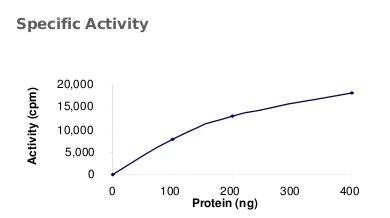 Functional Studies - Recombinant human MUSK protein (AB71693)