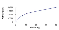Functional Studies - Recombinant human MYLK2 protein (AB84800)