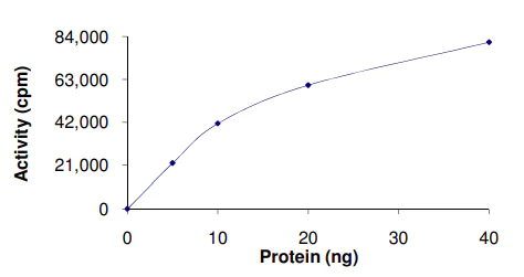 Functional Studies - Recombinant human MYLK2 protein (AB84800)