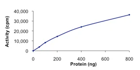 Functional Studies - Recombinant human MYLK3/MLCK protein (AB84799)