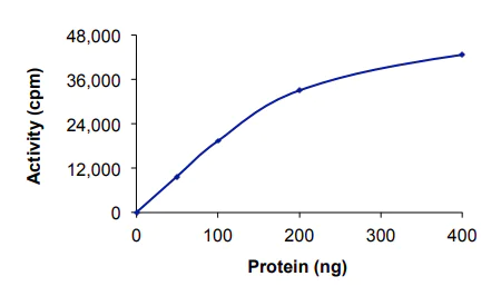 Functional Studies - Recombinant human MYLK3/MLCK protein (AB84799)