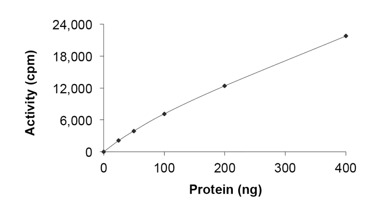 Functional Studies - Recombinant human MYO3A protein (AB191000)