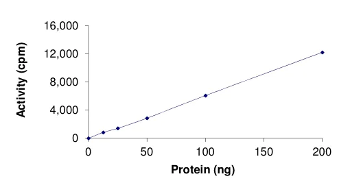Functional Studies - Recombinant human MYO3A protein (AB191000)