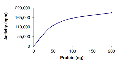 Functional Studies - Recombinant human Myosin light chain kinase/MLCK protein (AB55674)