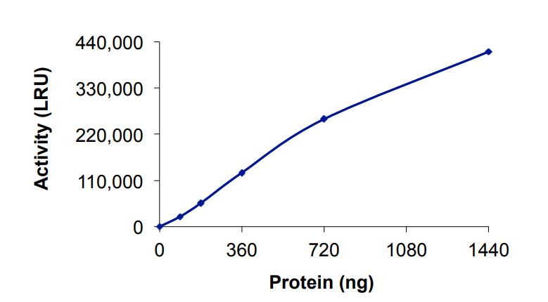 Functional Studies - Recombinant human N6AMT2 protein (Active) (AB268808), expandable thumbnail