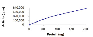 Functional Studies - Recombinant human NAK/TBK1 protein (AB85276), expandable thumbnail