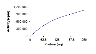 Functional Studies - Recombinant human NAK/TBK1 protein (AB85276), expandable thumbnail