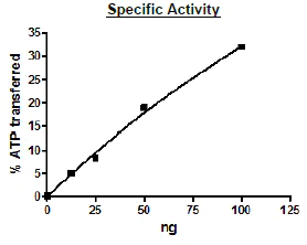 Functional Studies - Recombinant human NAK/TBK1 protein (Active) (AB271752)