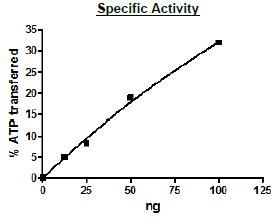 Functional Studies - Recombinant human NAK/TBK1 protein (Active) (GST tag N-Terminus) (AB271752)