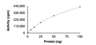 Functional Studies - Recombinant human NCOA4 + Ret protein (Active) (AB204153)