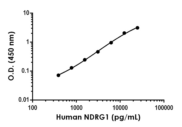 Sandwich ELISA - Recombinant Human NDRG1 Protein Standard (His tag) (AB316688), expandable thumbnail