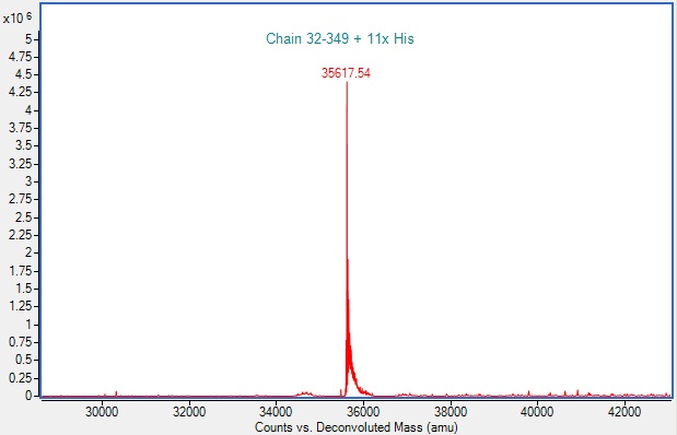 Recombinant Human Nectin-4 Protein (His-tag)
