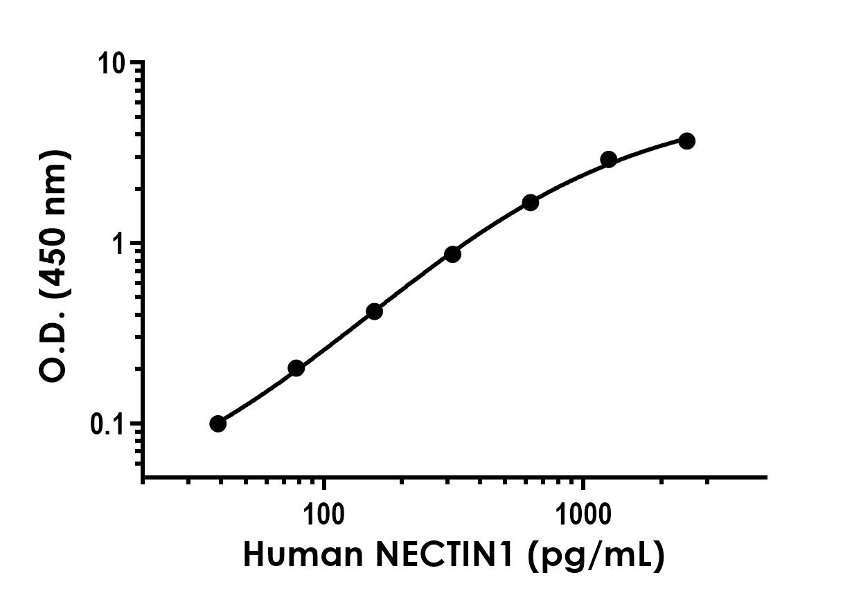 Sandwich ELISA - Recombinant Human NECTIN1 Protein Standard (His tag) (AB316514)
