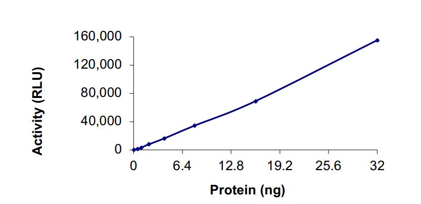 Functional Studies - Recombinant human NEK1 protein (Active) (AB268812), expandable thumbnail