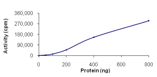 Functional Studies - Recombinant human NEK11 protein (AB125544), expandable thumbnail