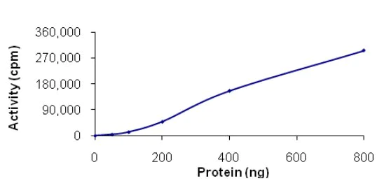 Functional Studies - Recombinant human NEK11 protein (AB125544)
