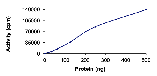 Functional Studies - Recombinant human NEK11 protein (AB125544), expandable thumbnail