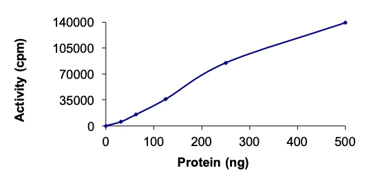 Functional Studies - Recombinant human NEK11 protein (AB125544)