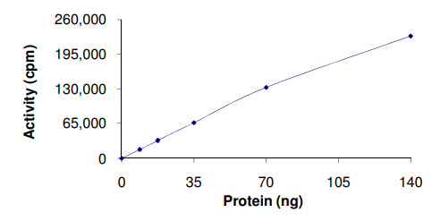 Recombinant human NEK3 protein