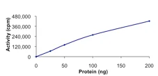 Functional Studies - Recombinant human NEK3 protein (GST tag N-Terminus) (AB89758)