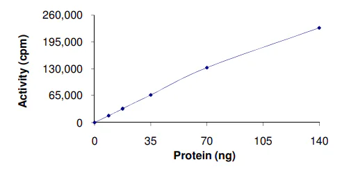 Functional Studies - Recombinant human NEK3 protein (GST tag N-Terminus) (AB89758)