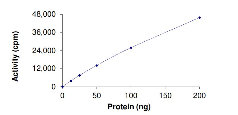 Functional Studies - Recombinant human NEK4 protein (Active) (AB268813), expandable thumbnail