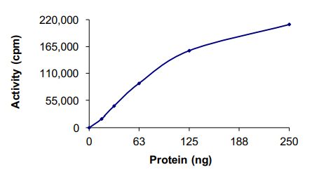 Functional Studies - Recombinant human NEK5 protein (AB133140), expandable thumbnail