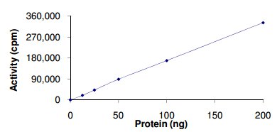 Functional Studies - Recombinant human NEK5 protein (AB133140), expandable thumbnail