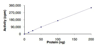 Functional Studies - Recombinant human NEK5 protein (AB133140)