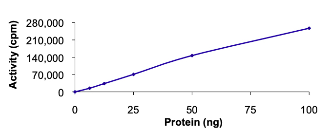 Functional Studies - Recombinant human NEK6 protein (AB60698)