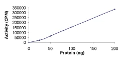 Functional Studies - Recombinant human NEK6 protein (AB60698)