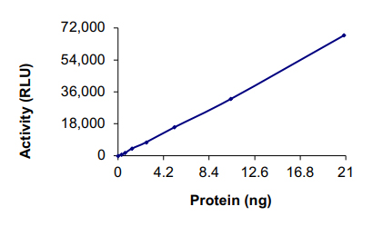 Functional Studies - Recombinant human NEK7 protein (AB60703), expandable thumbnail